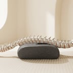 Lumbar Support Pillow with Integrated Control Panel