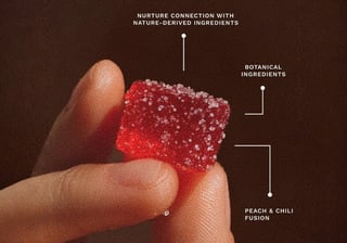 Bold, adventurous flavor