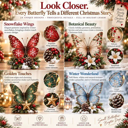 Butterfly Advent Calendar with 24 Magical Surprises