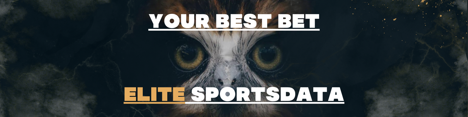 YBB Sports Free Community