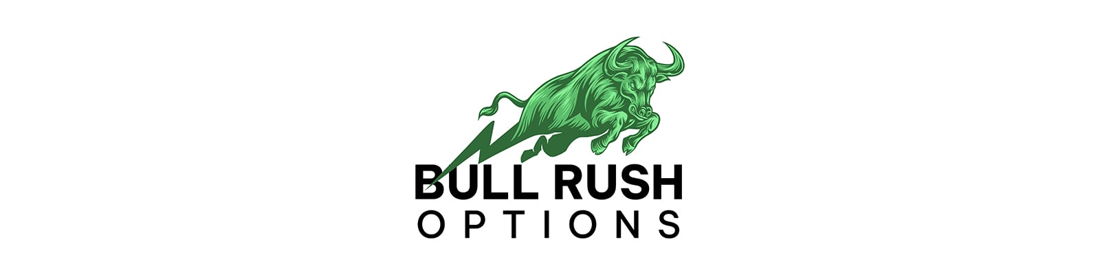 Zebra Options 101 FREE eBook