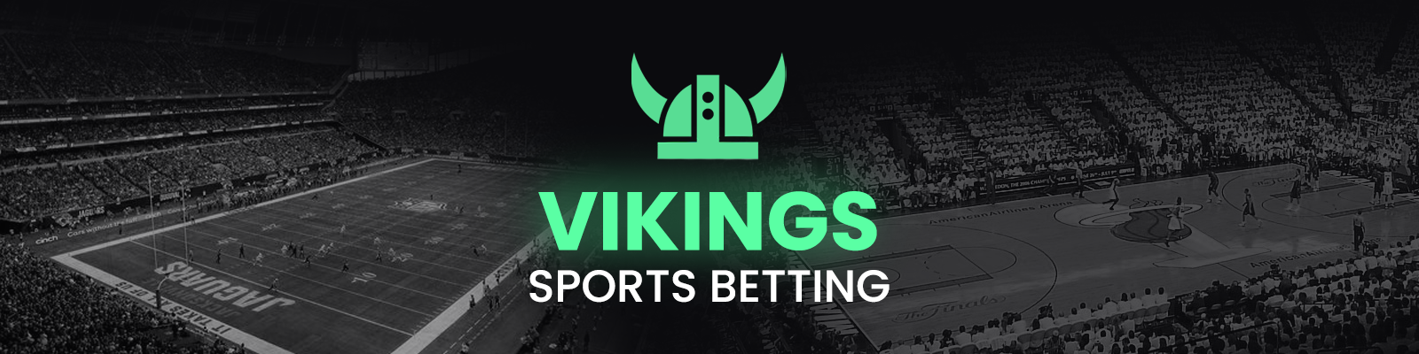Vikings Sports VIP Pass