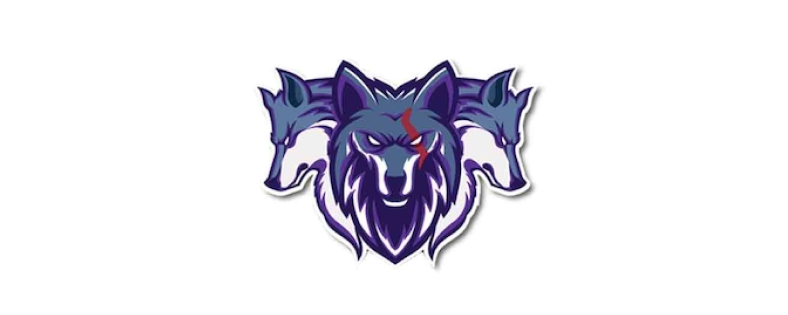 The Pack University 