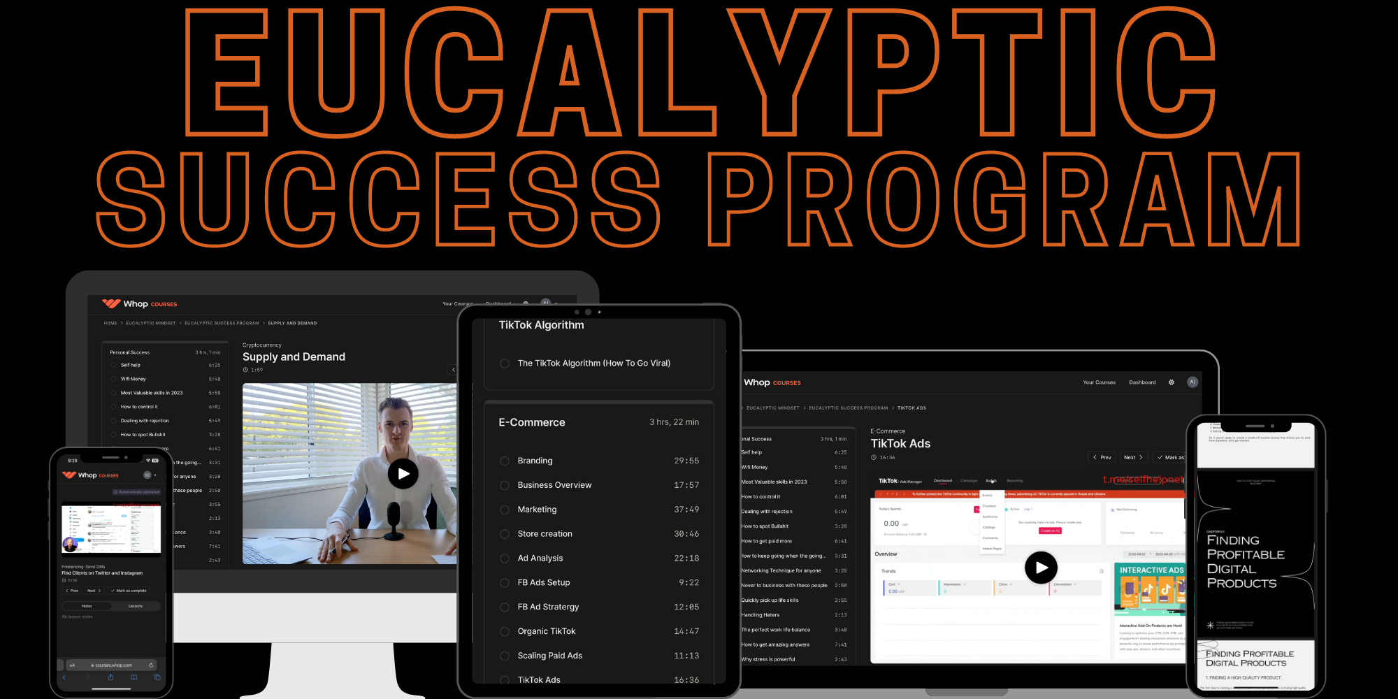 Eucalyptic Success Program