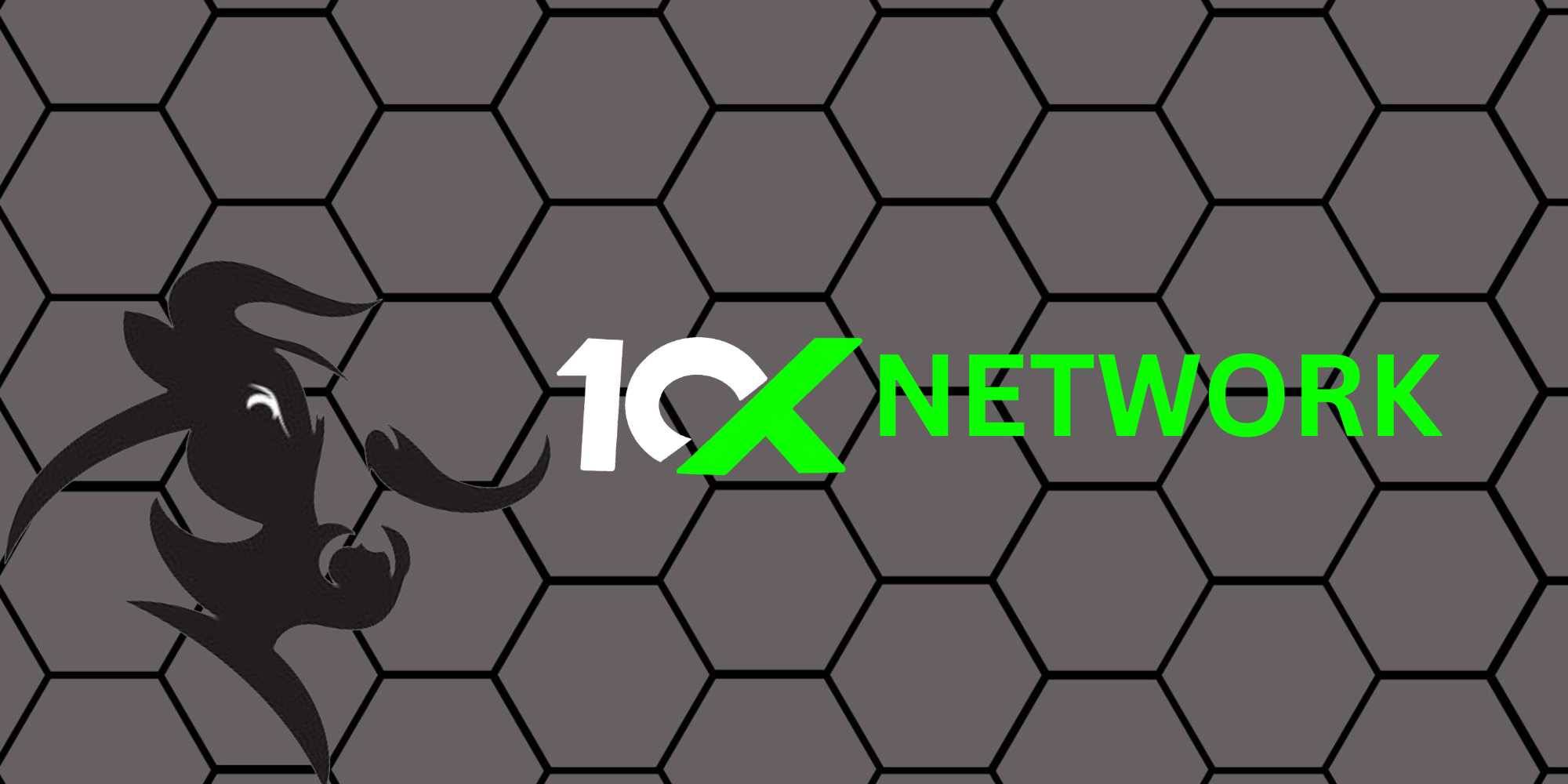 10X NETWORK