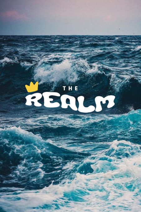 The Realm Group