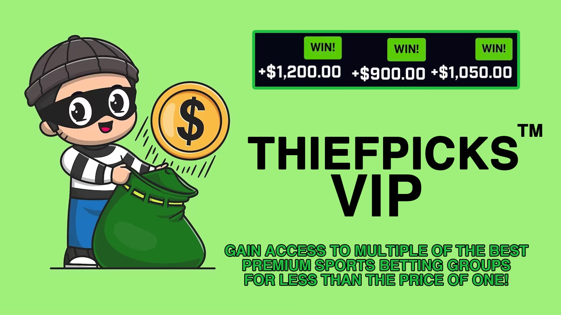 ThiefPicks Free Access