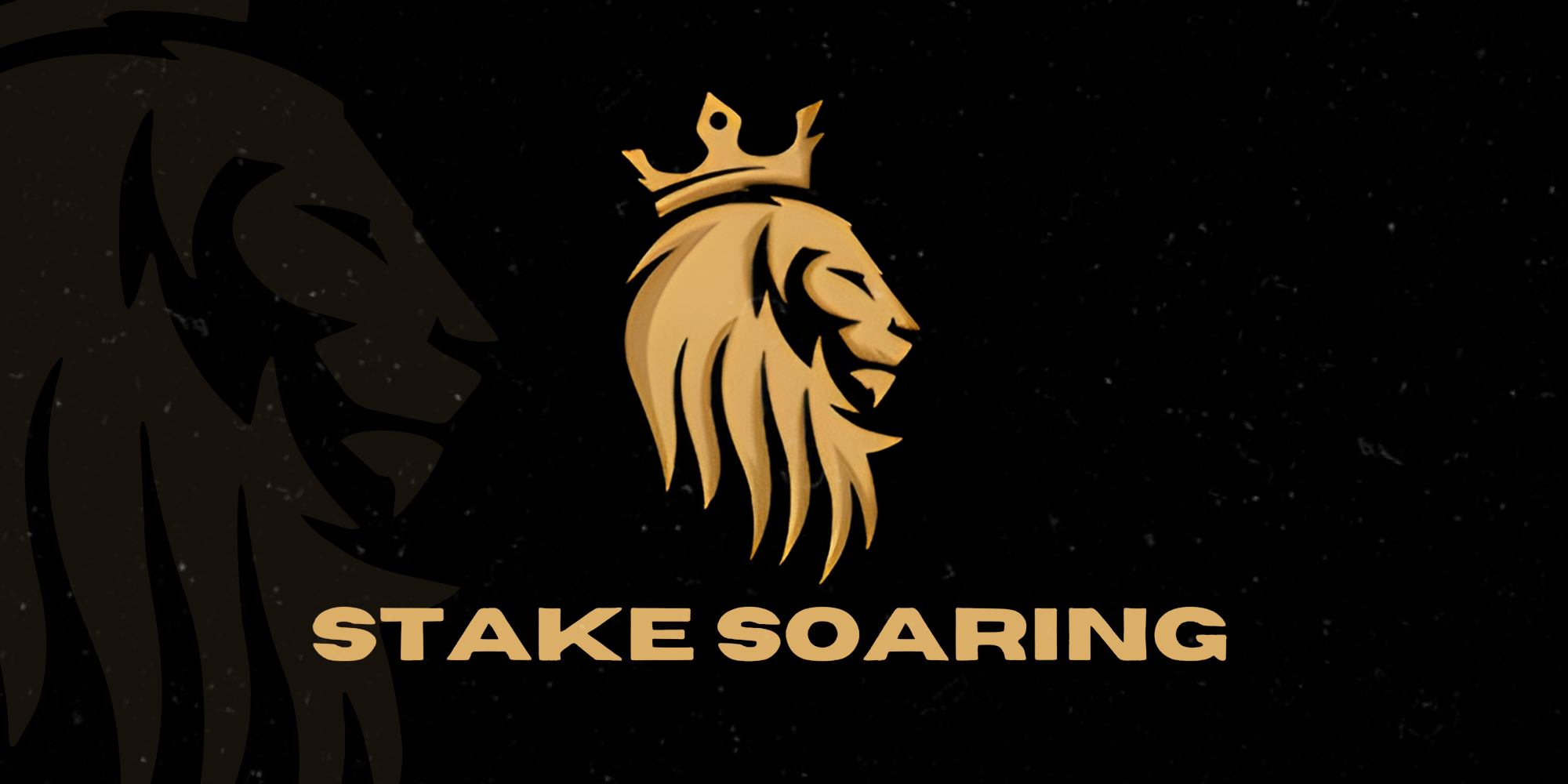 Stake Soaring Matched Betting