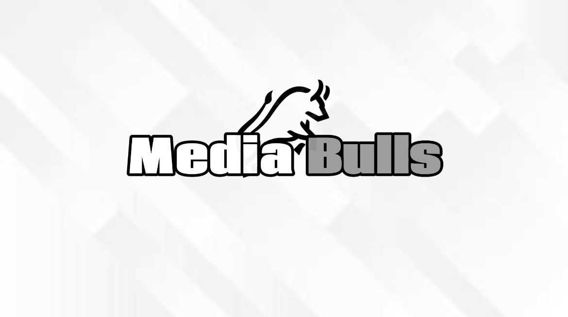 Media Bulls Creativity Program
