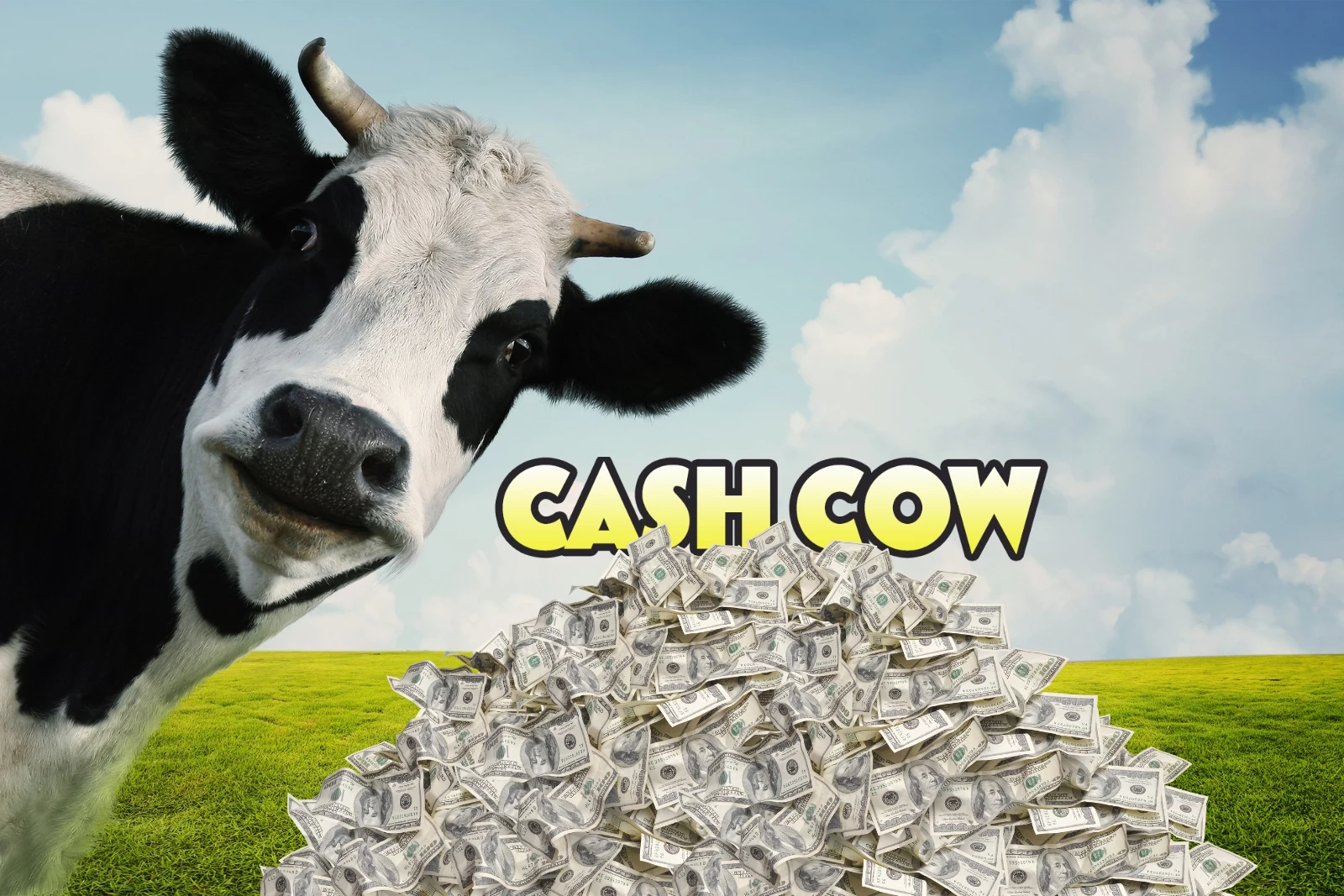 Cash Cow - The Cash Cow