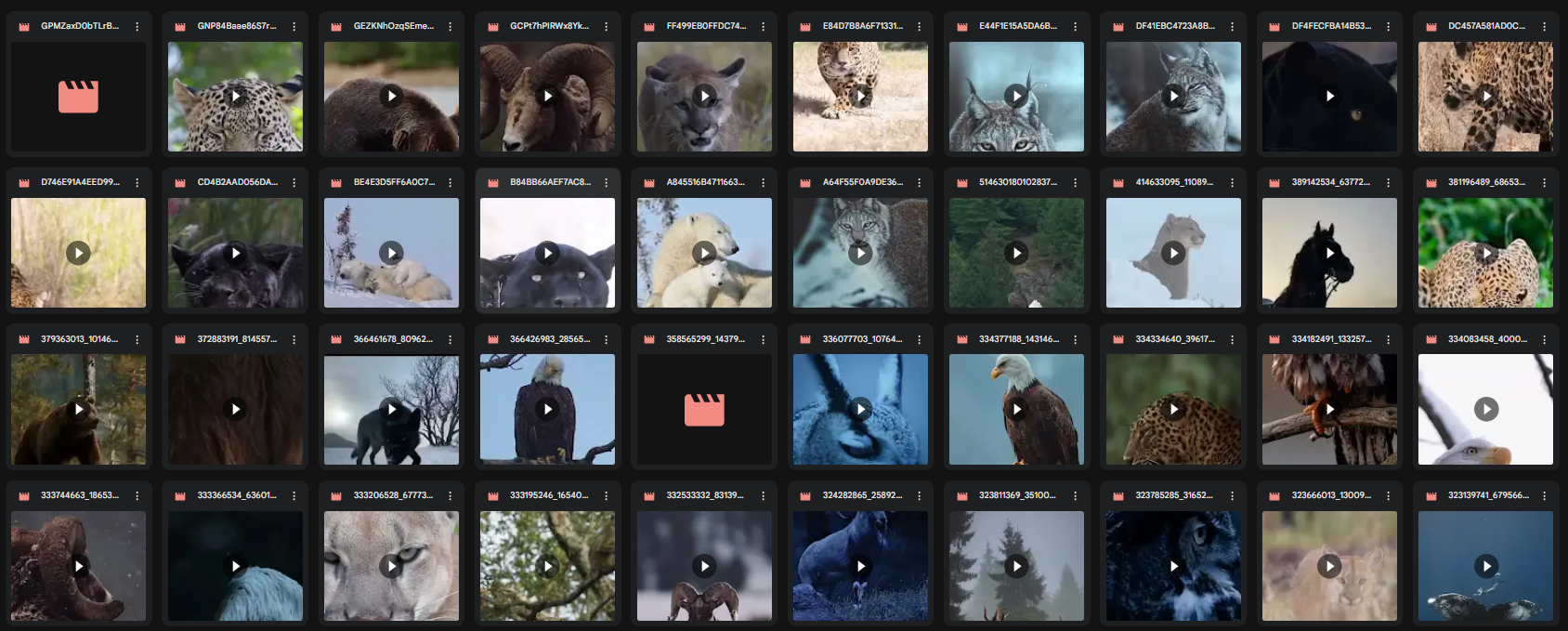 Motivational Content Folder