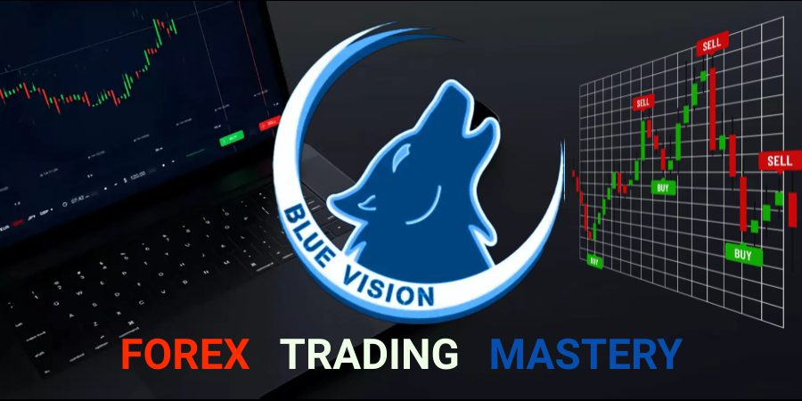Blue Vision FX Mentorship