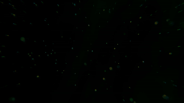 Accelerator 
