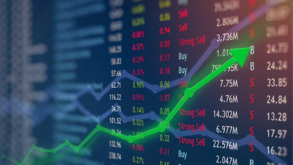 Stocksandrealestate Premium
