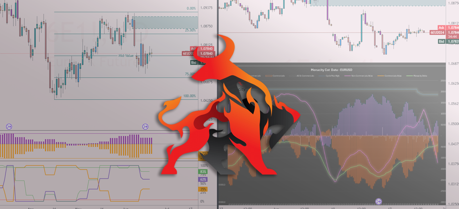 Monancity Report