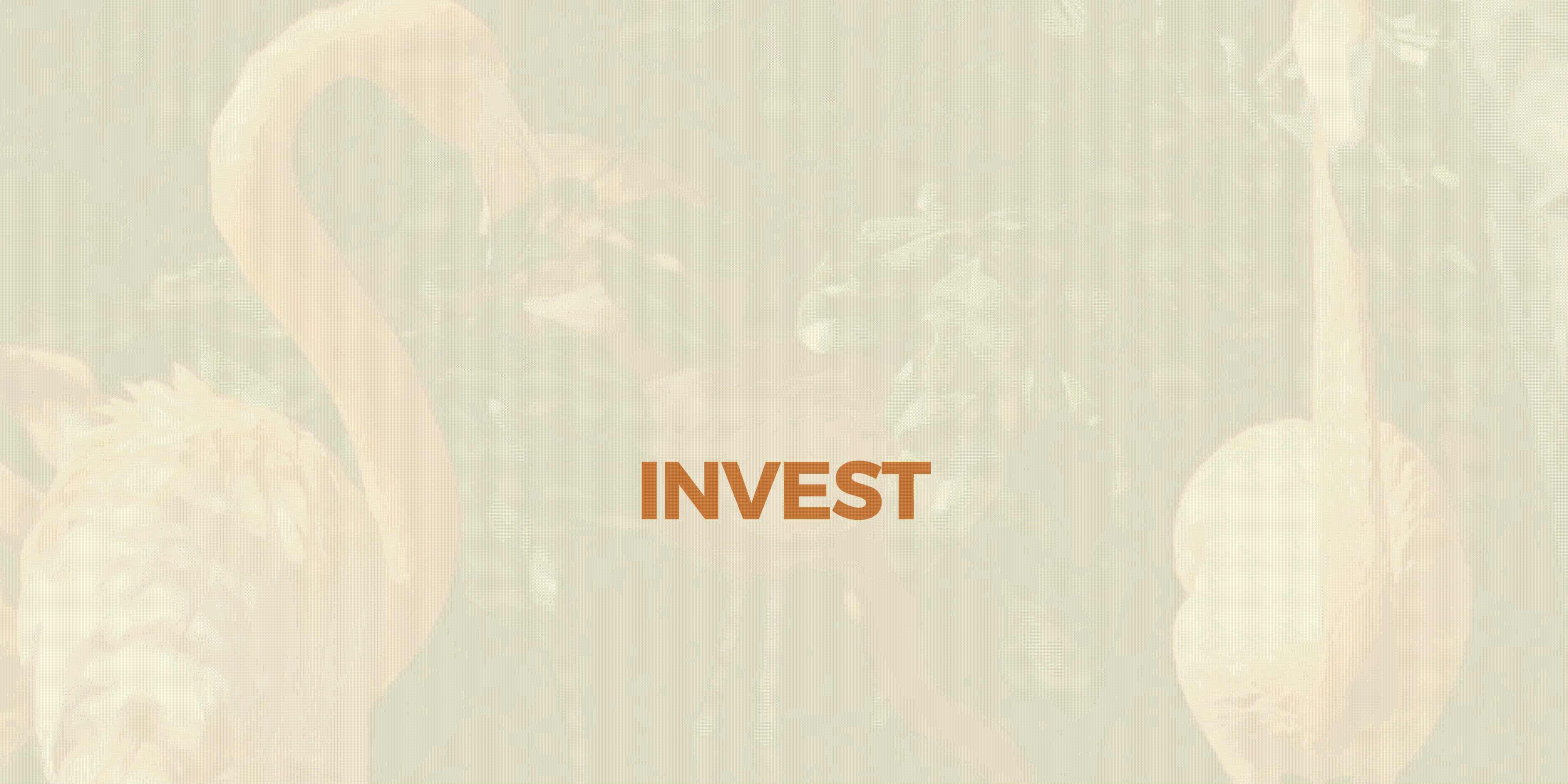 Invest Vegas 1 Day Access