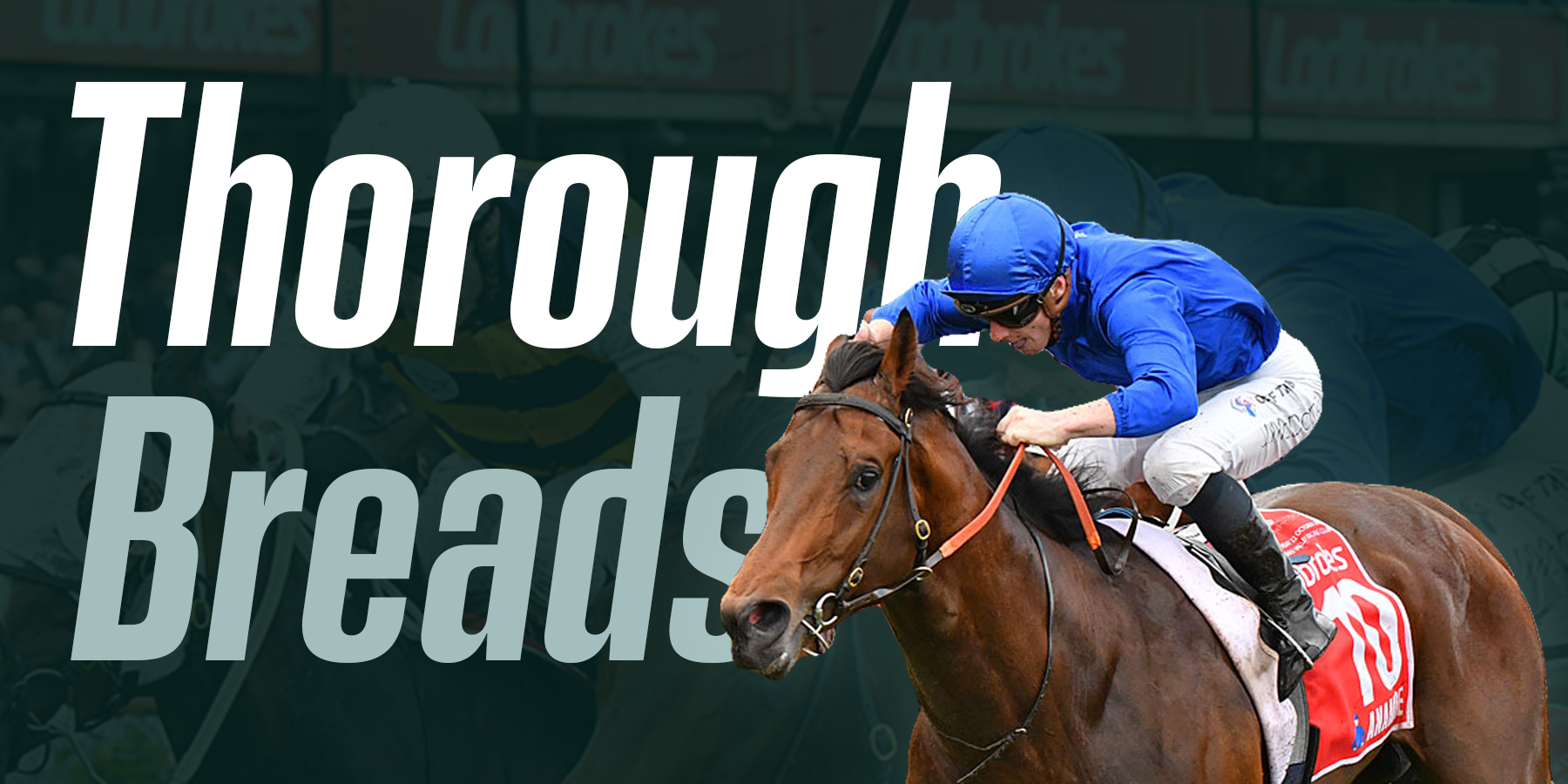 ThoroughBreads Racing Tips