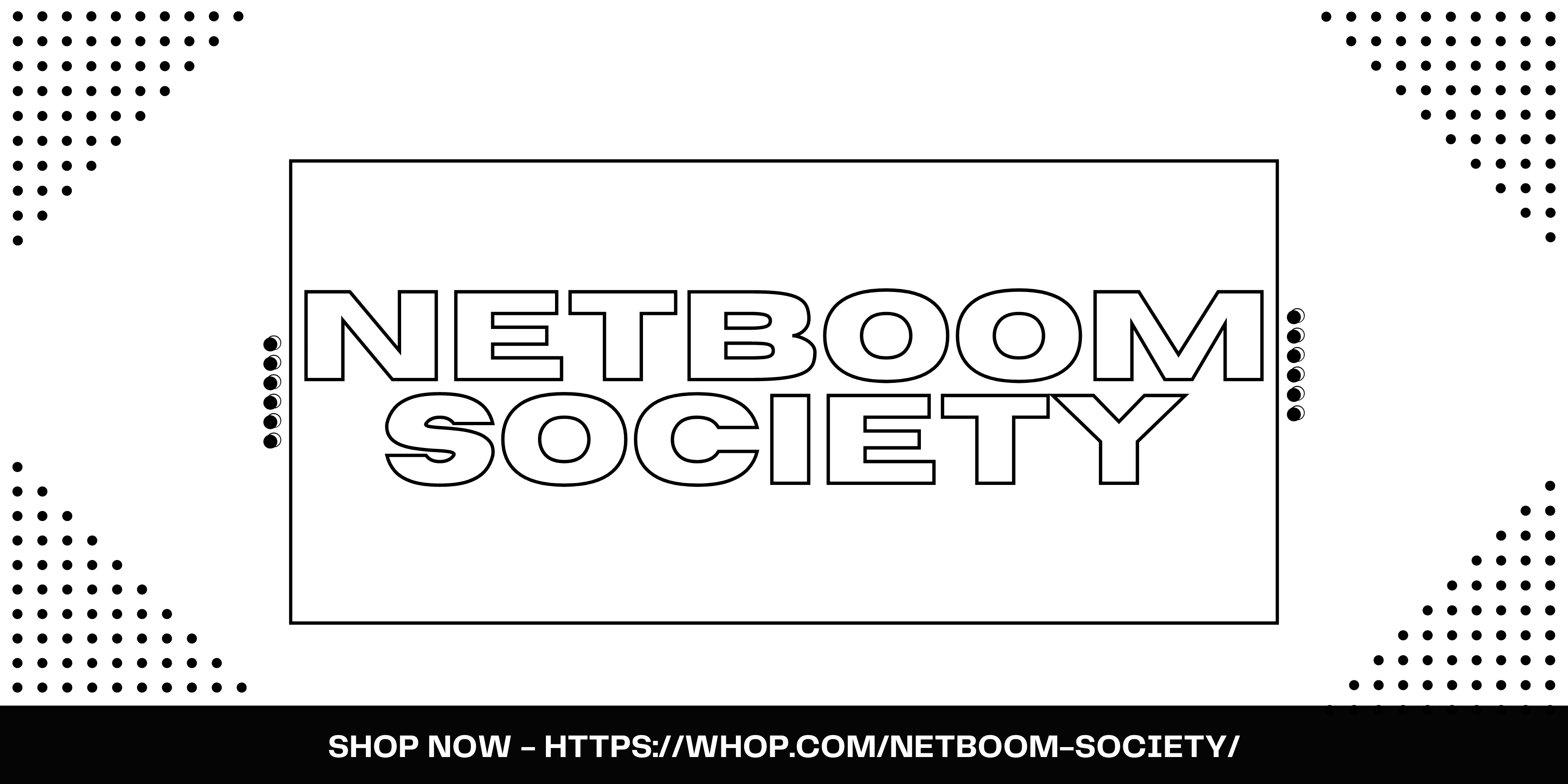 NetBoom Society