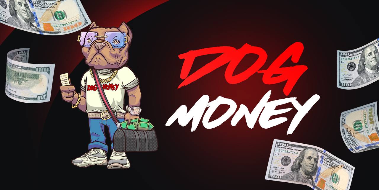 DOGMONEYPICKS All Inclusive