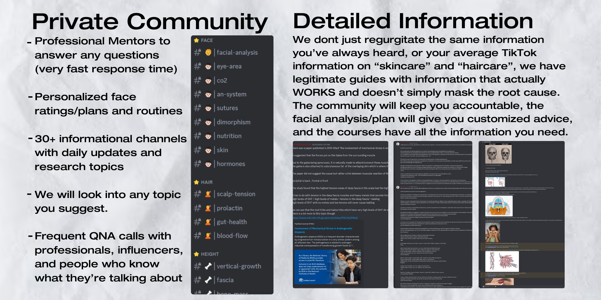 Primal Revolution Discord