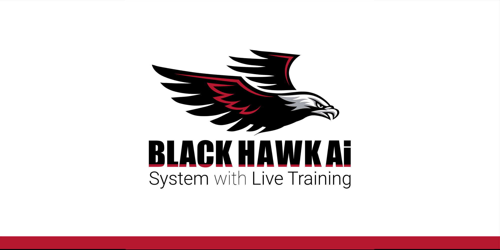 Black Hawk Ai