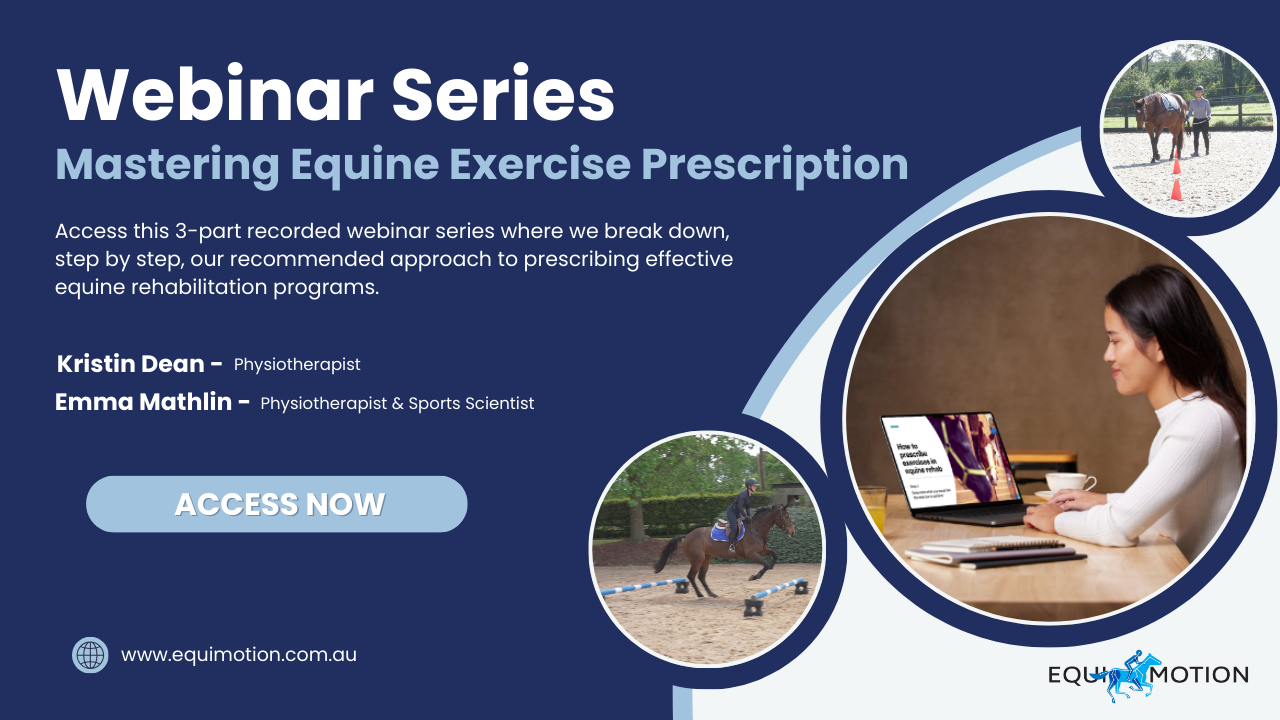 Equimotion Webinar Series