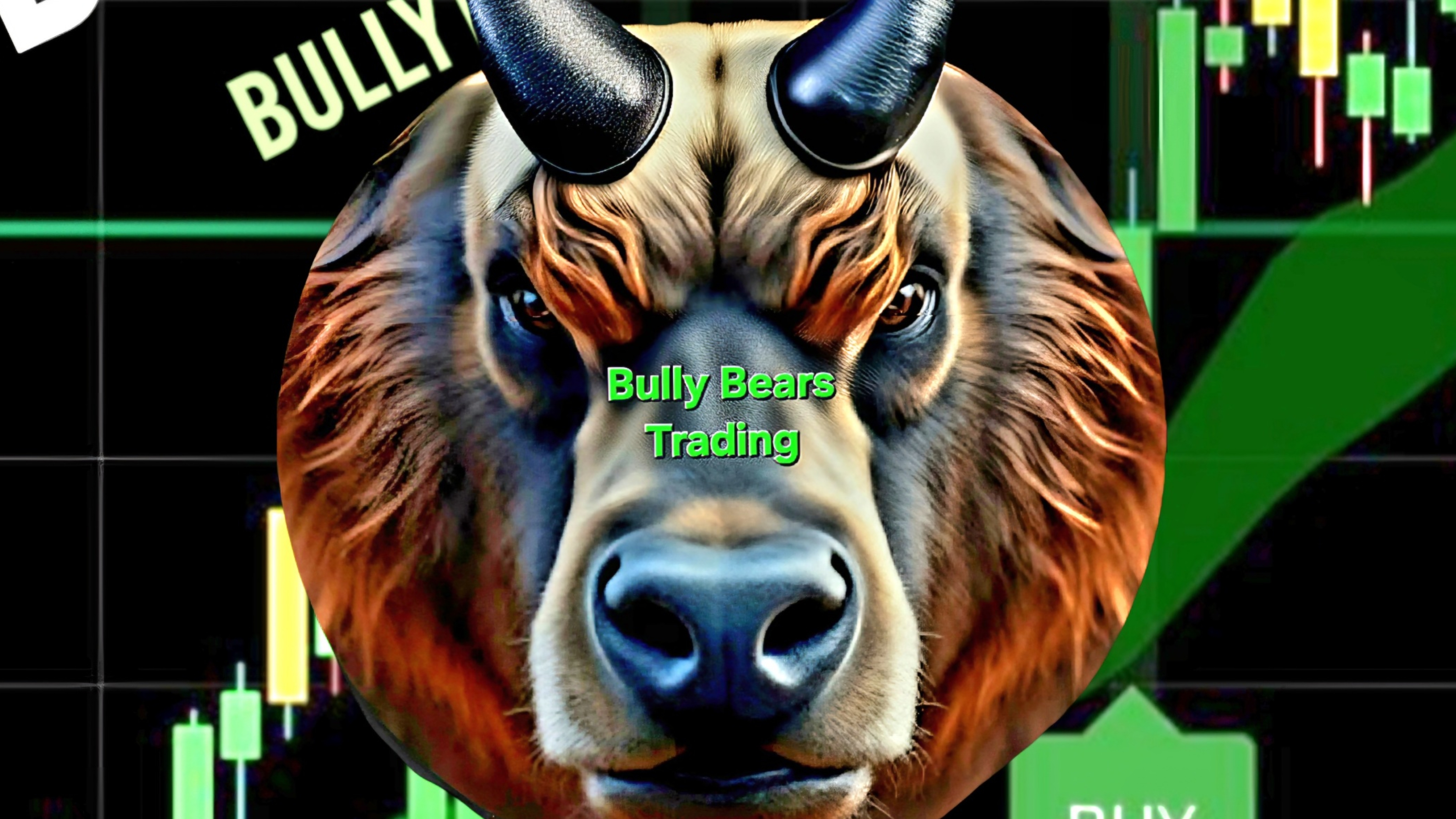 Bully Bears scalp Free