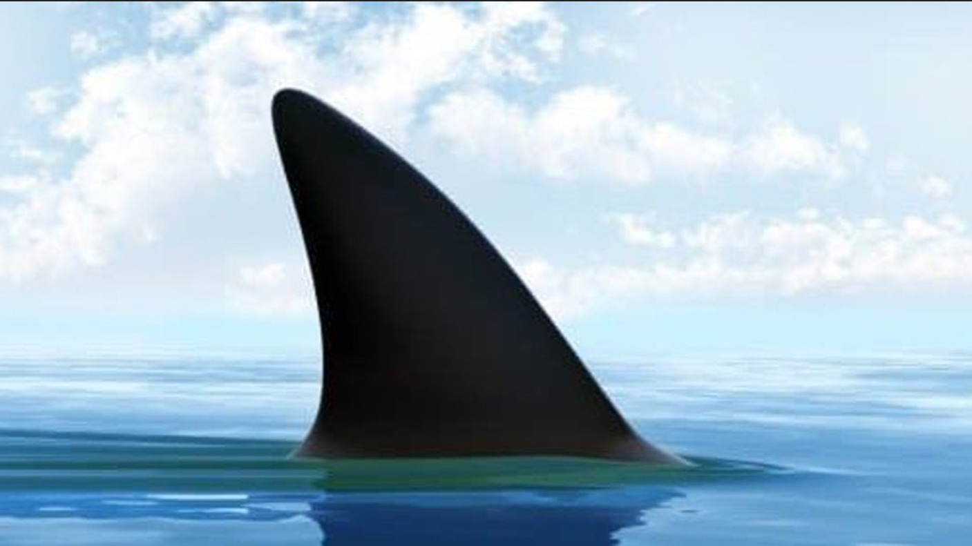 Shark Tank