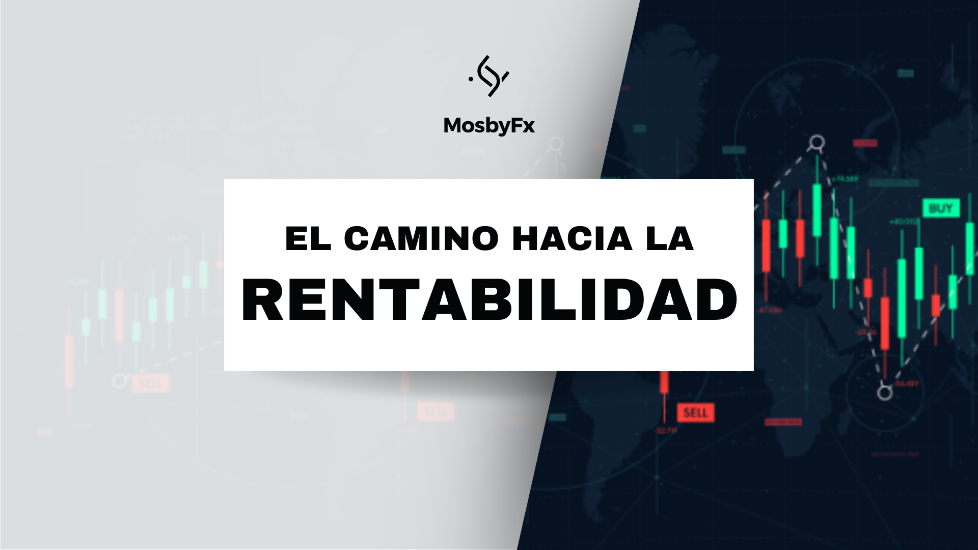 MosbyFx Trader Program