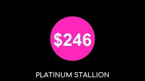 Platinum Stallion Access  
