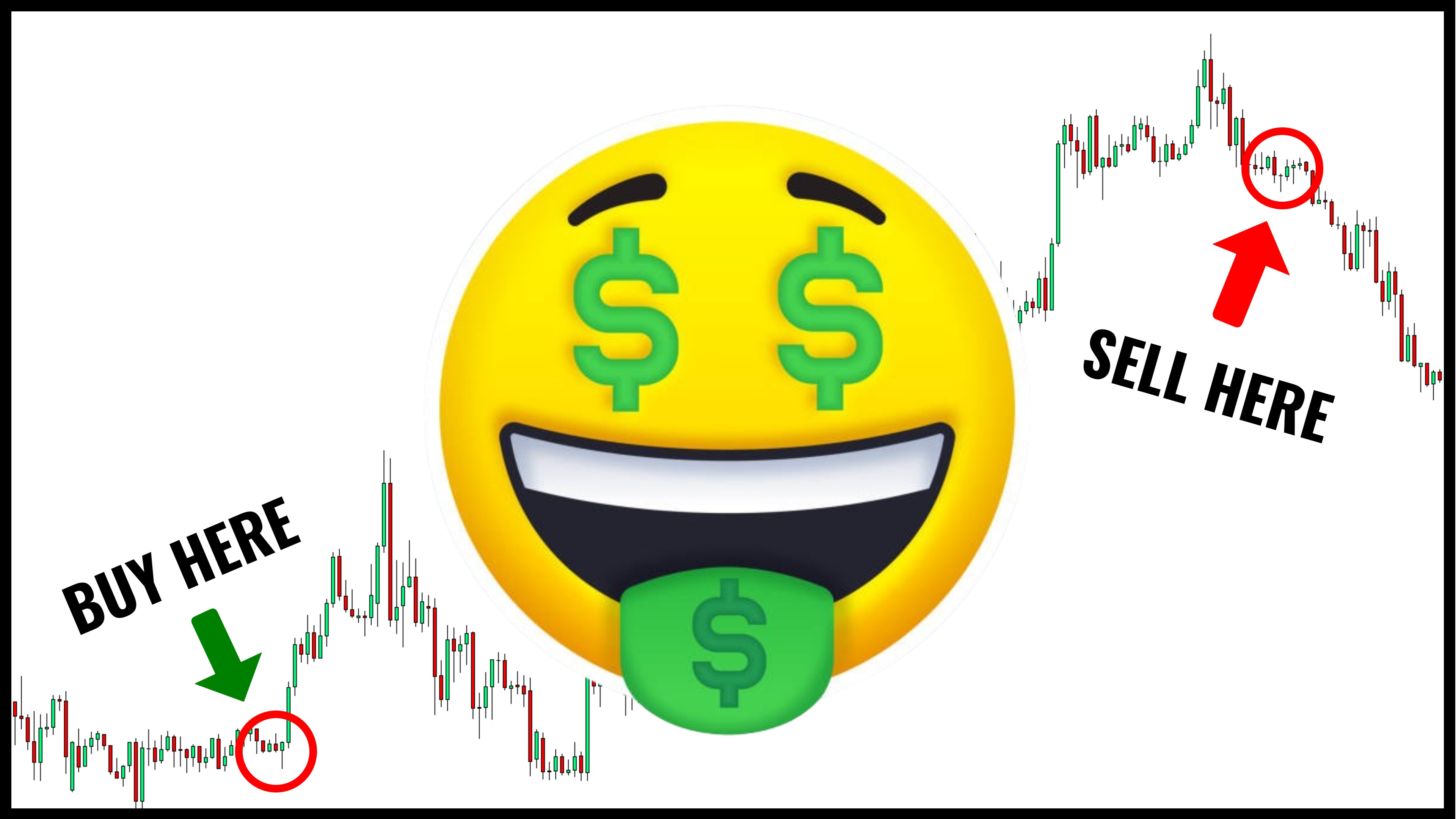 Private Forex Coaching Program