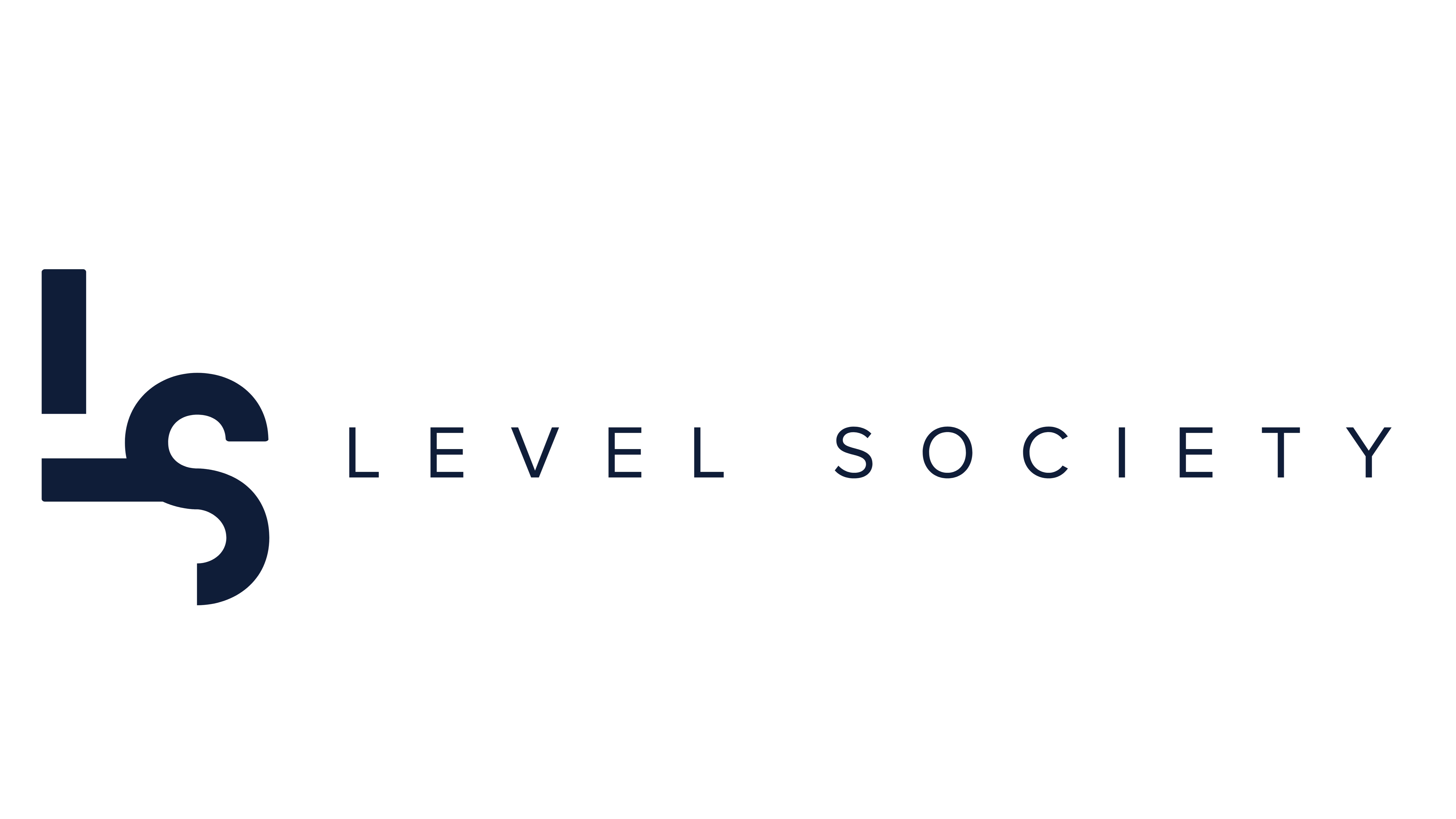 Level Consulting