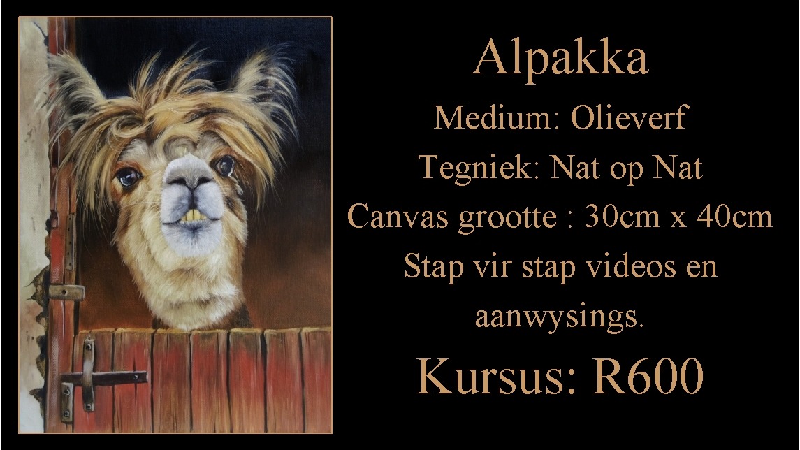 Alpakka