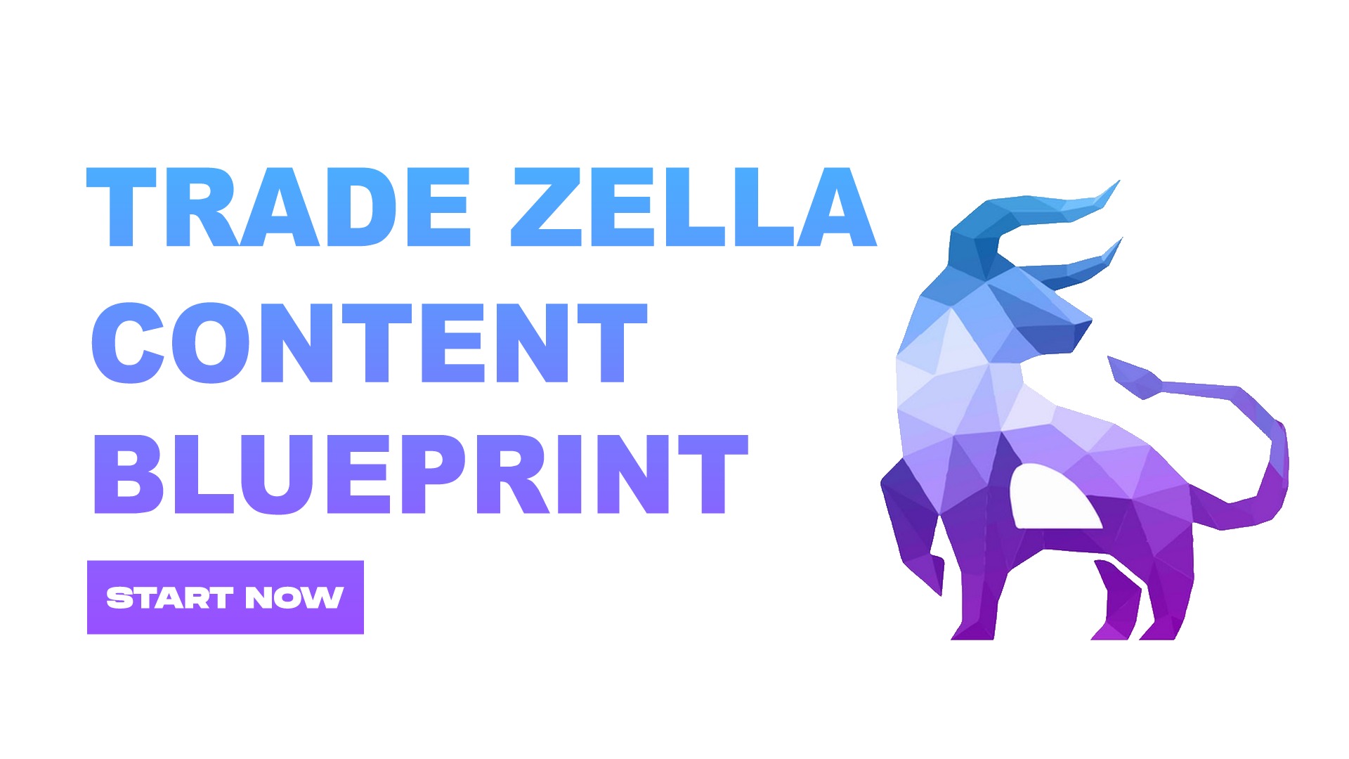 TradeZella Creators