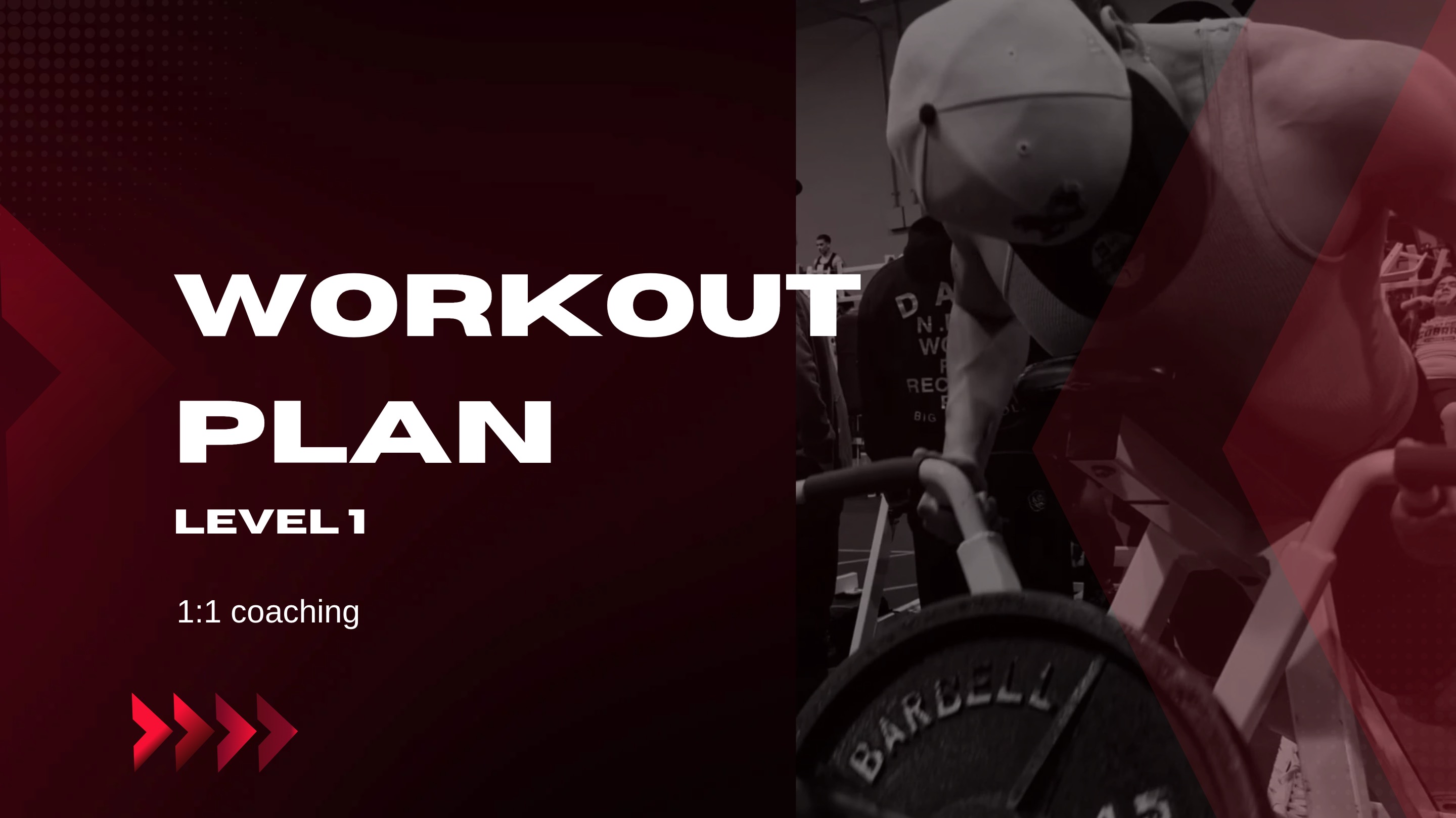 workout program and diet plan.