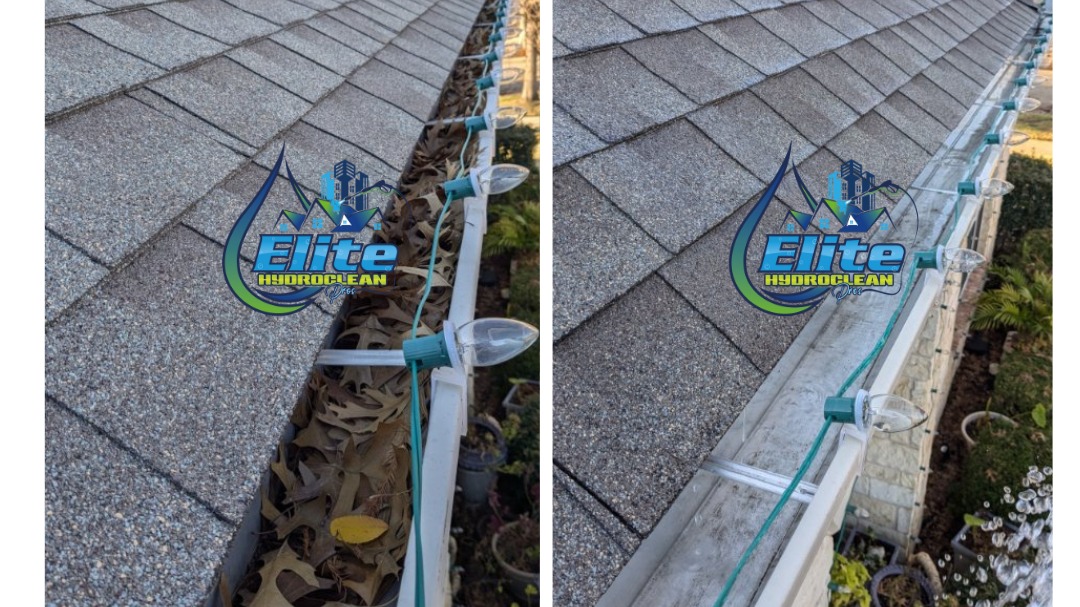 Elite HydroClean Pros