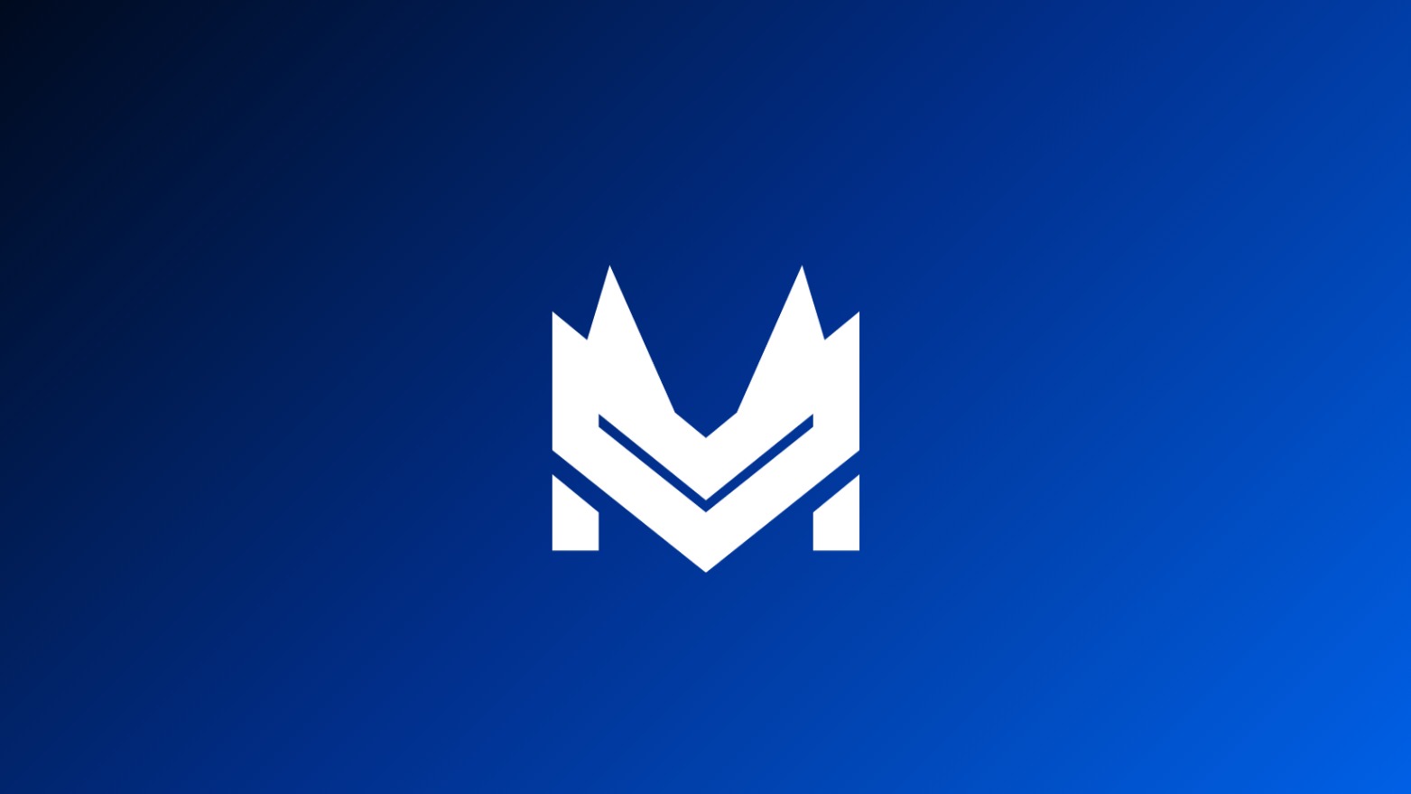 MEDIA BUYER LAUNCH PAD