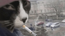 FRKN