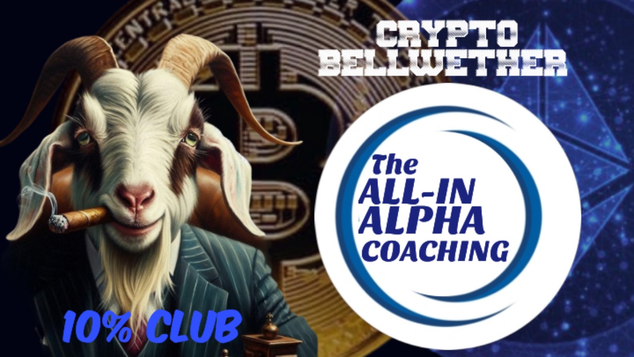 THE ALL IN ALPHA COACHING
