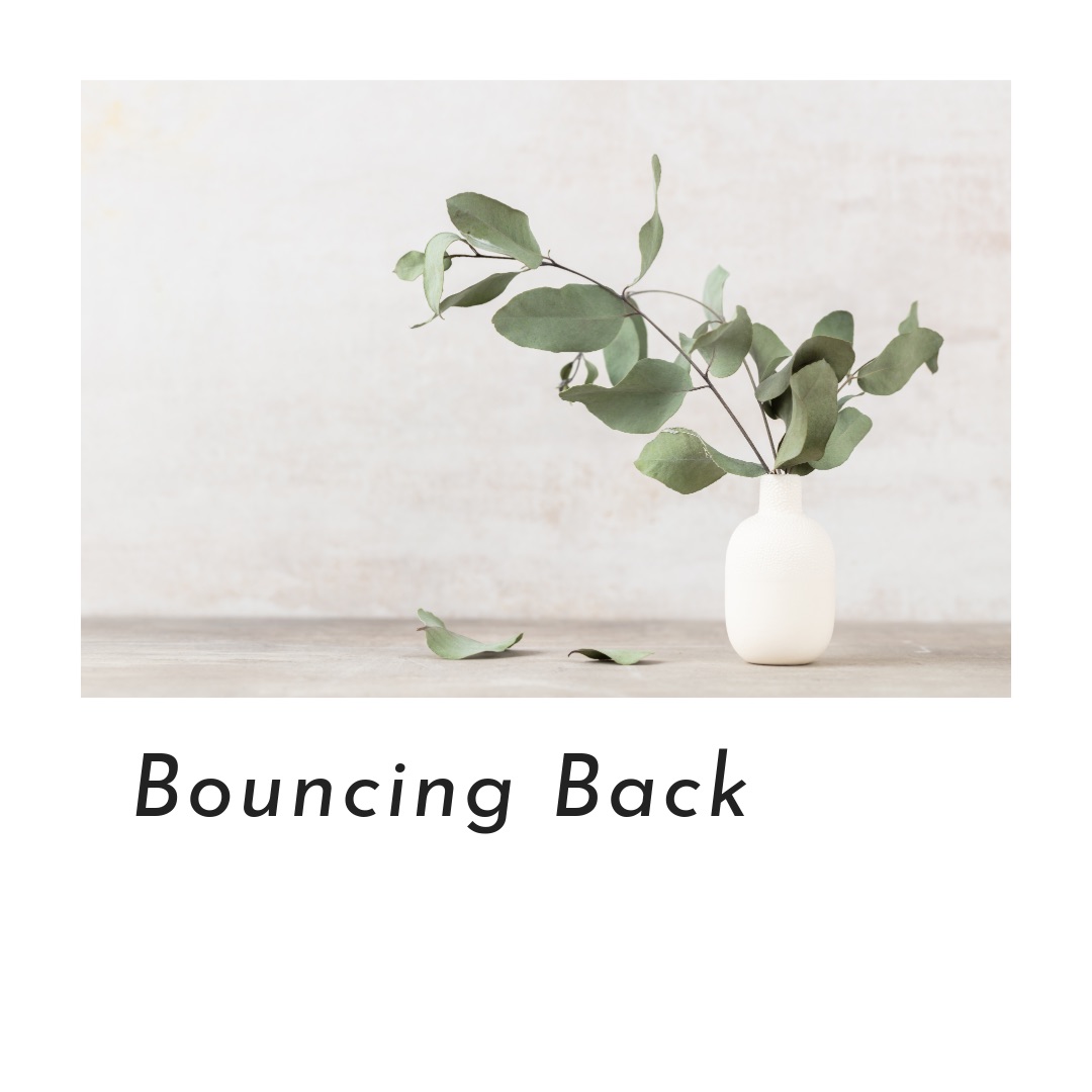 Bouncing Back