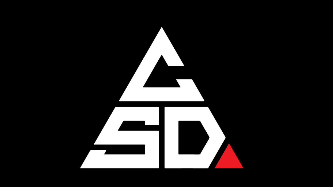 CSD ELITE EXCLUSIVE MENTORSHIP