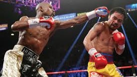 Boxing4Beginners