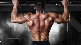Fitness Help and 1-1 Courses