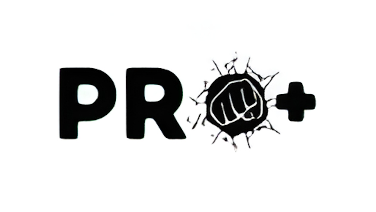 Pro+ Subscriber