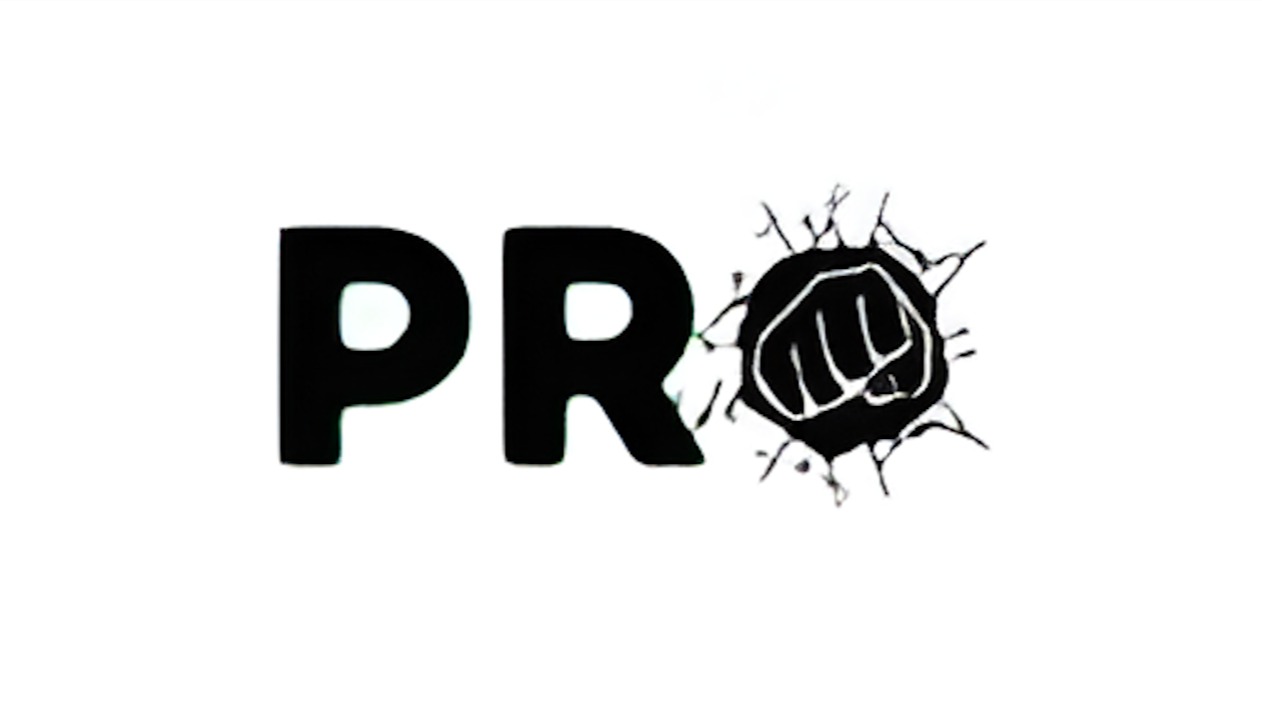 Pro Subscriber
