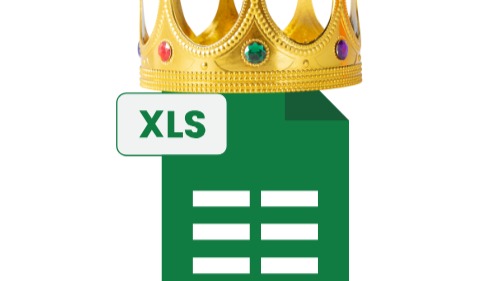 Excel King University