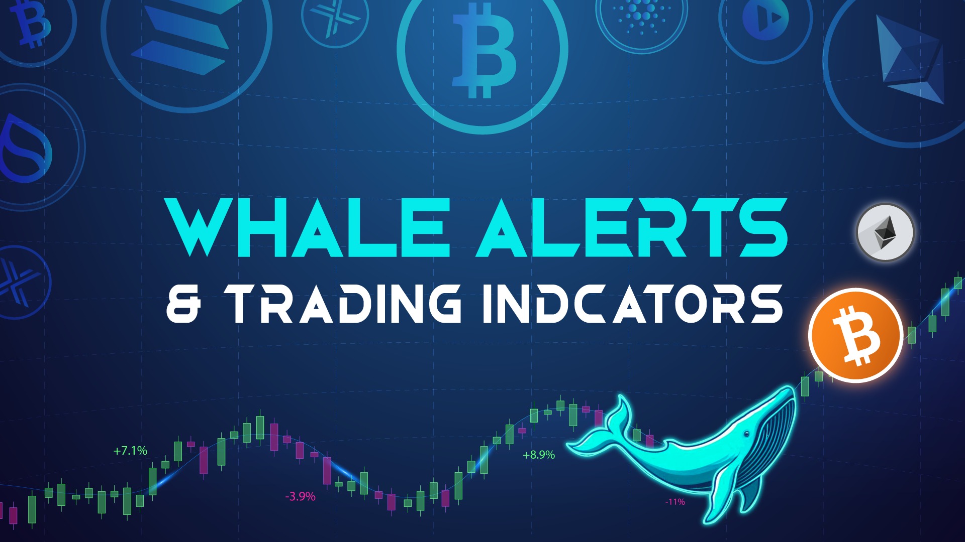 Whale Alerts & Indicators VIP