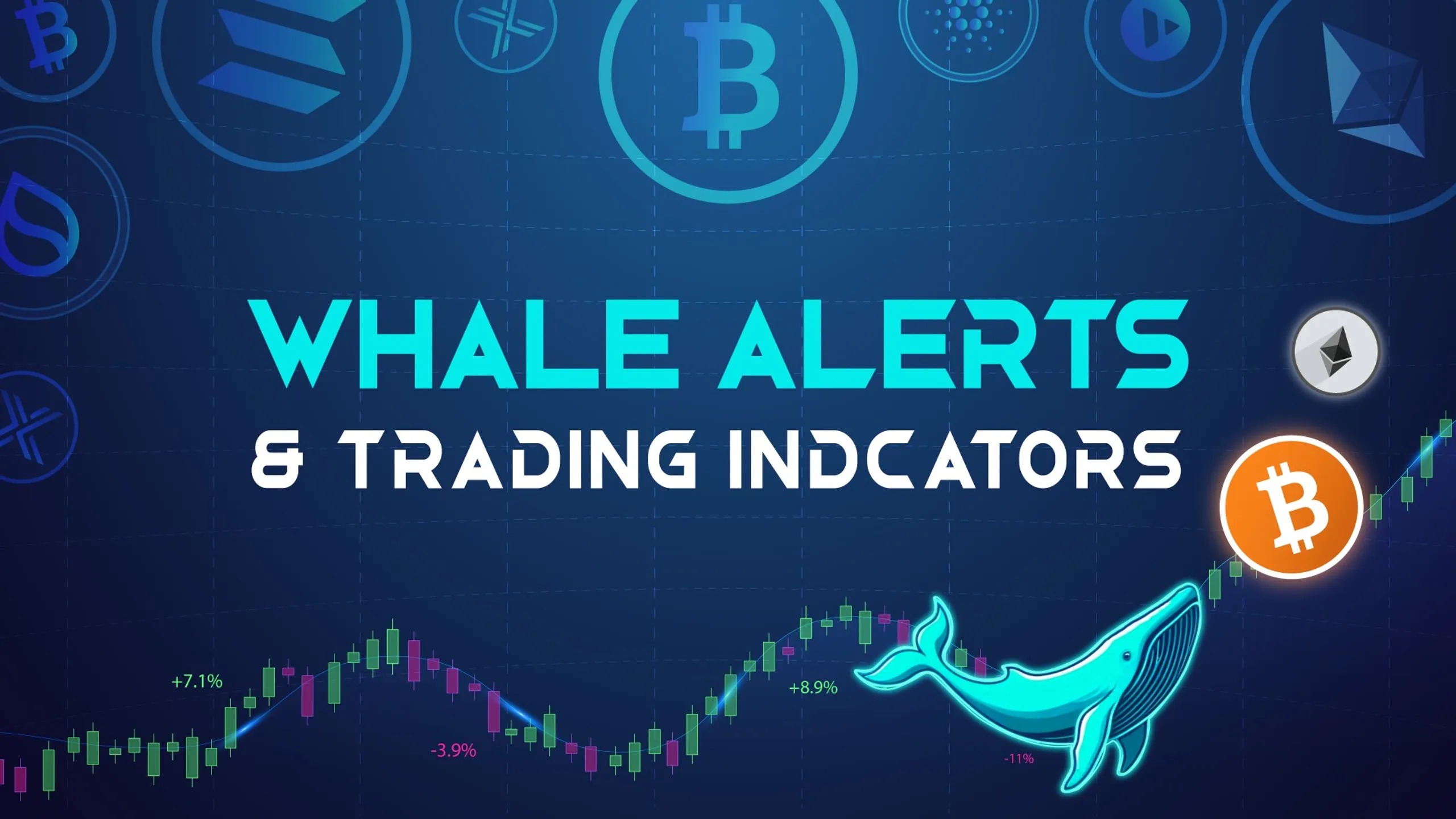 Whale Alerts & Indicators FREE