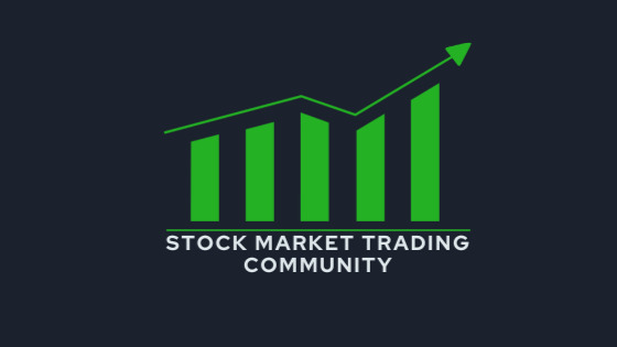 Big Bull Trades