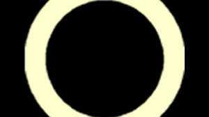 2025 YEAR ROUND MENTORSHIP